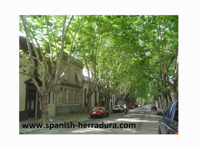 Centro de Enseñanza de Español La Herradura