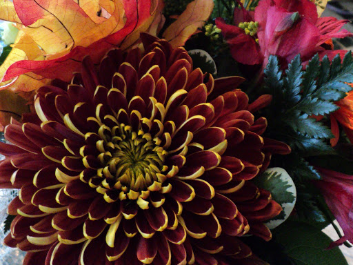 Florist «Sparrows Nest Flower Shop LLC», reviews and photos, 65 Sylvania Ave, Neptune City, NJ 07753, USA