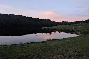 Caxias do Sul's Botanical Garden image