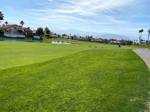 Golf Course «Desert Falls Country Club», reviews and photos, 1111 Desert Falls Pkwy, Palm Desert, CA 92211, USA