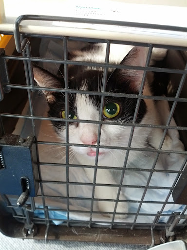 Pet Supply Store «Petco Animal Supplies», reviews and photos, 1391 NJ-35, Middletown, NJ 07748, USA