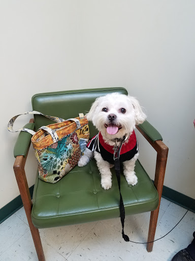 Conway Springs Veterinary Services image