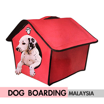 Dog Boarding & Dog Walking Malaysia