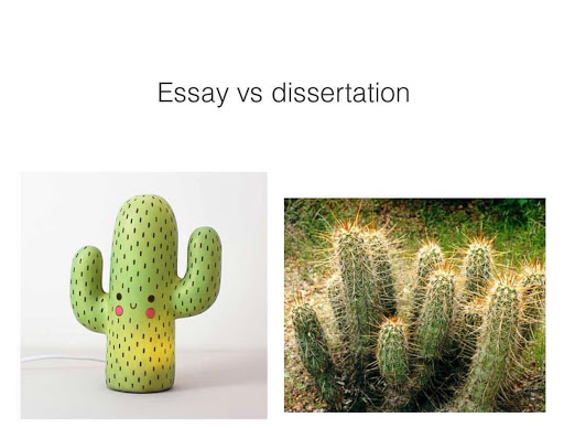 Home of Dissertations - Trusted Dissertation Help & Essay Help Assignment Writing Service, PhD Proposal & Thesis Proofreading