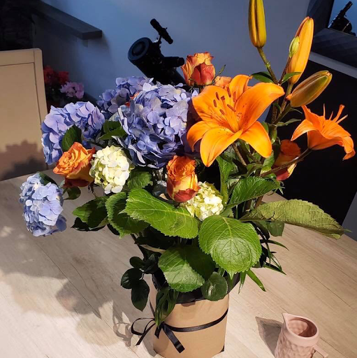 Villas de las Flores, Villas San Cristobal, Mineral de la Reforma, Hidalgo – Pachuca