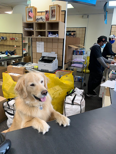 Shipping and Mailing Service «The UPS Store», reviews and photos, 1333 North Ave, New Rochelle, NY 10804, USA