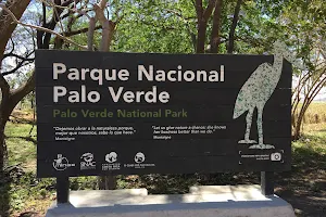 Parque Nacional Palo Verde image