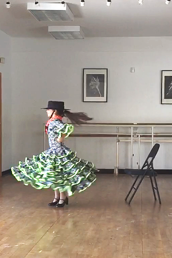 Dance School «Coconut Grove Ballet Dance Center», reviews and photos, 2829 Bird Ave #1, Miami, FL 33133, USA