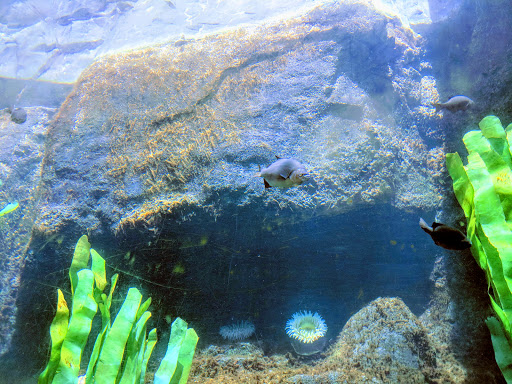 Zoo «Oregon Zoo», reviews and photos, 4001 Southwest Canyon Road, Portland, OR 97221, USA