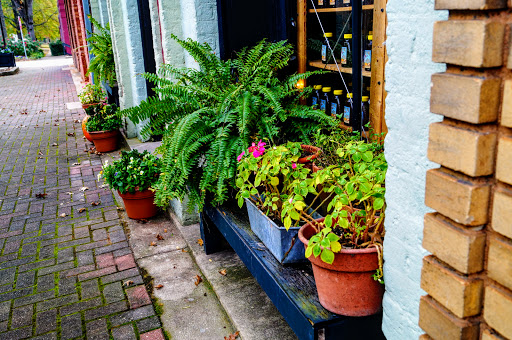 Produce Market «Madison Produce», reviews and photos, 132 E Washington St, Madison, GA 30650, USA