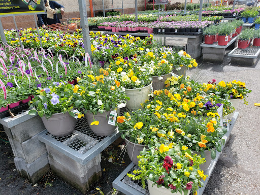 Home Improvement Store «The Home Depot», reviews and photos, 2300 Broadbirch Dr, Silver Spring, MD 20904, USA