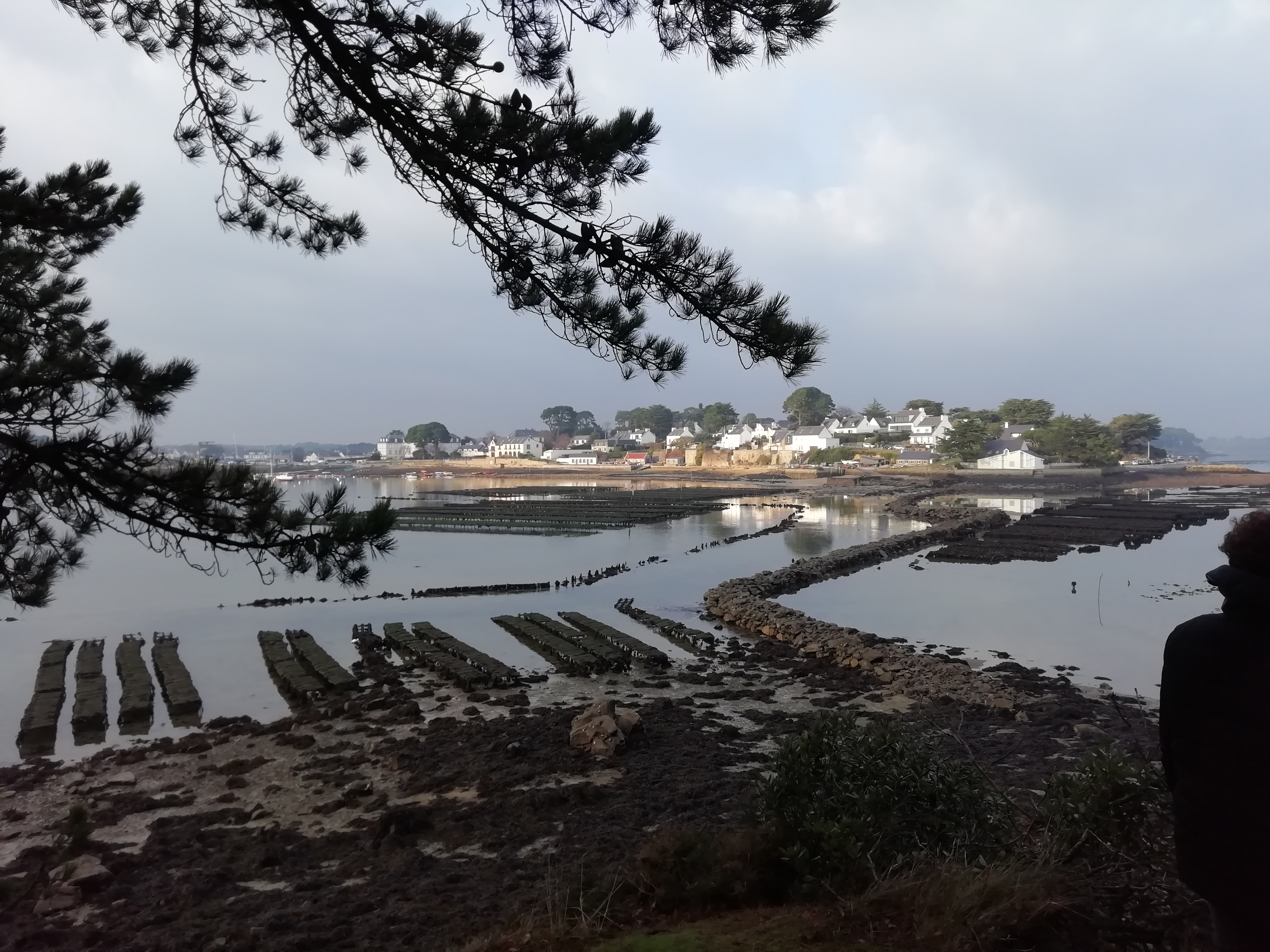 Photo n° 16 de l'avis de defrocourt.r fait le 28/12/2018 à 21:25