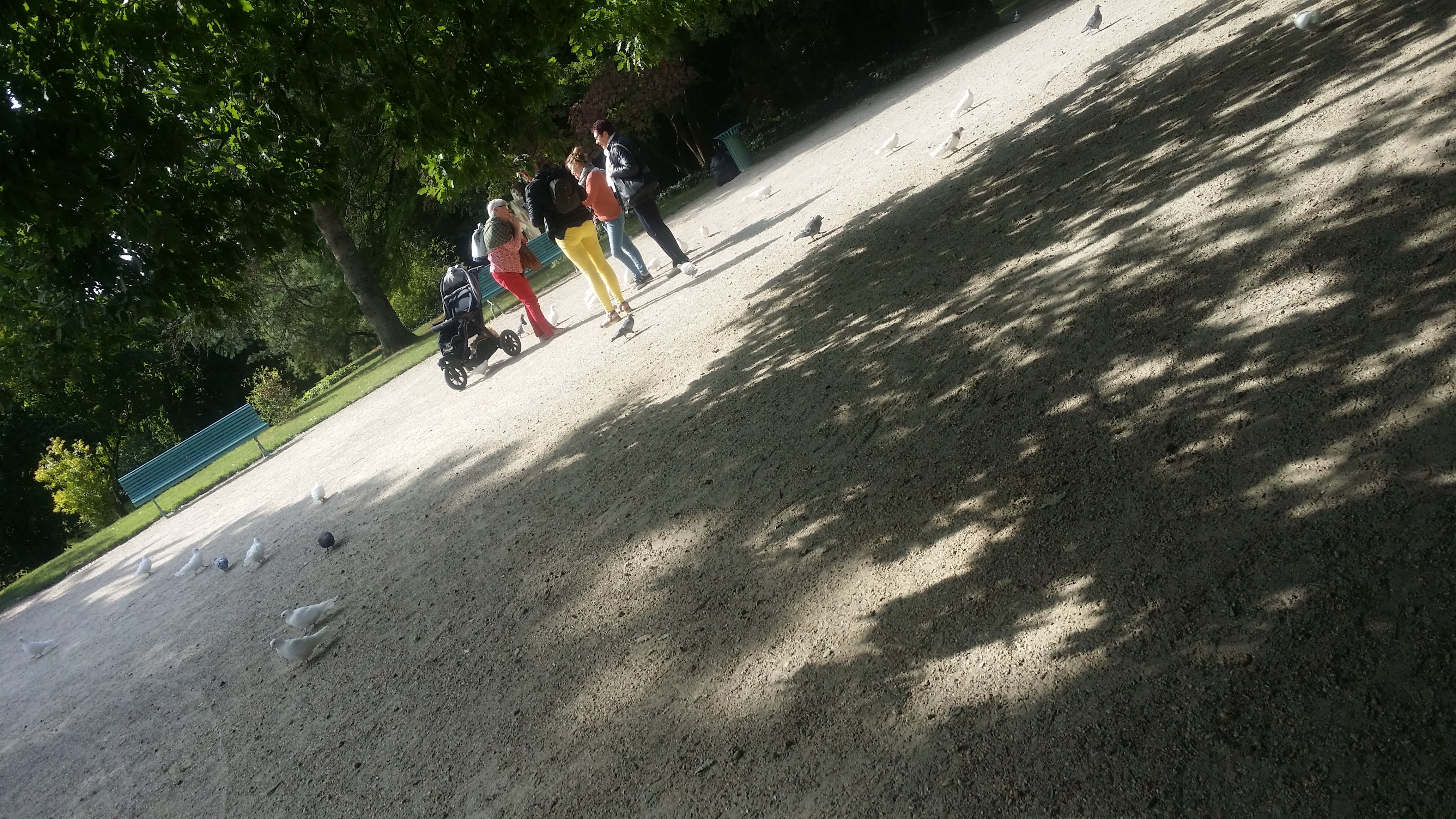 Photo n° 6 de l'avis de Alain.o fait le 24/03/2019 à 11:17