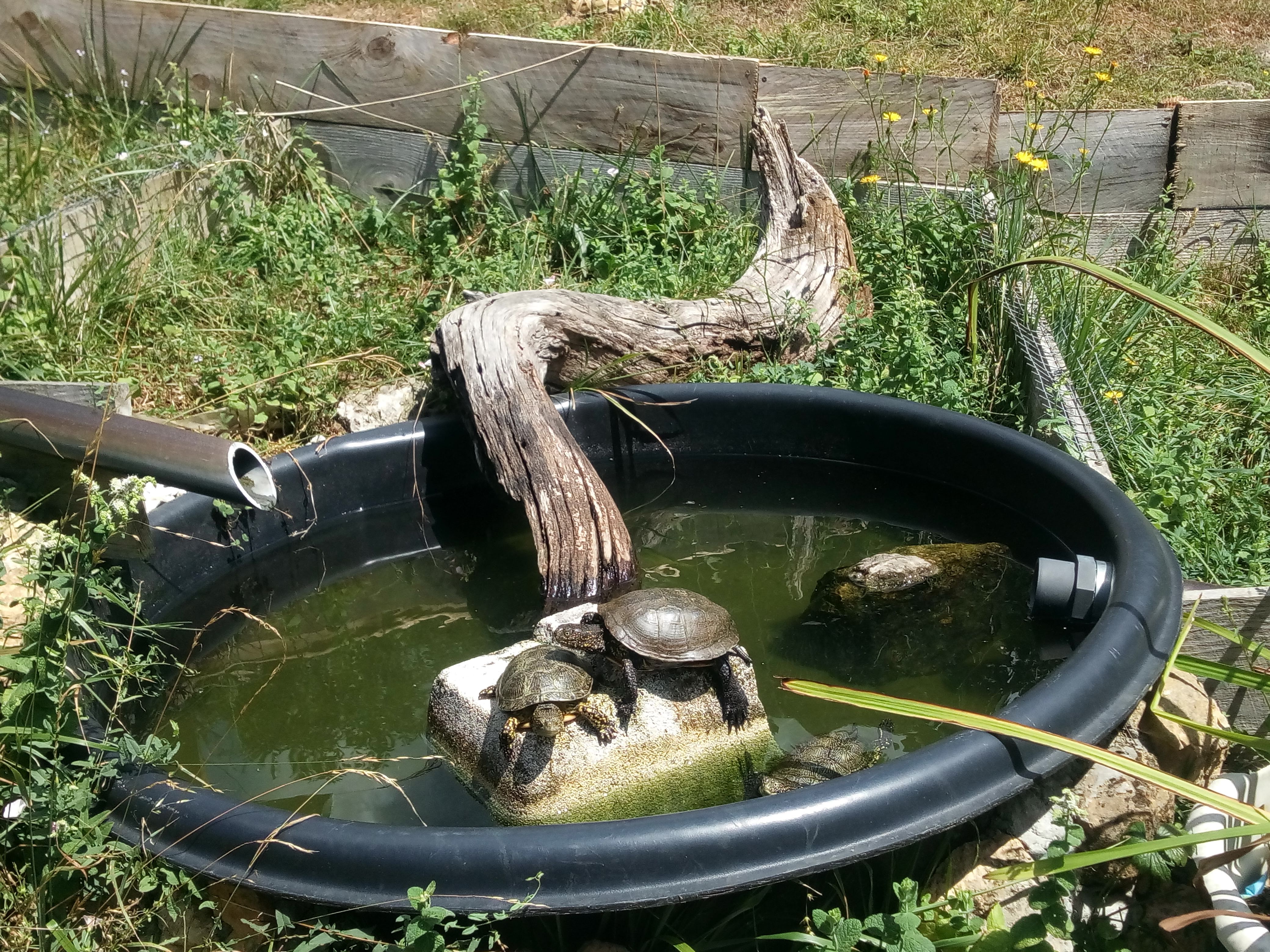 Photo n° 4 de l'avis de Sophie.a fait le 28/07/2019 à 13:03