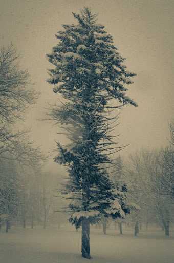 Public Golf Course «J.C. Martin Golf Course», reviews and photos, 652 Shunpike Rd, Erie, PA 16508, USA