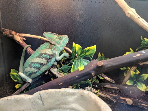 Pet Supply Store «PetSmart», reviews and photos, 100 108th Ave NE, Bellevue, WA 98004, USA