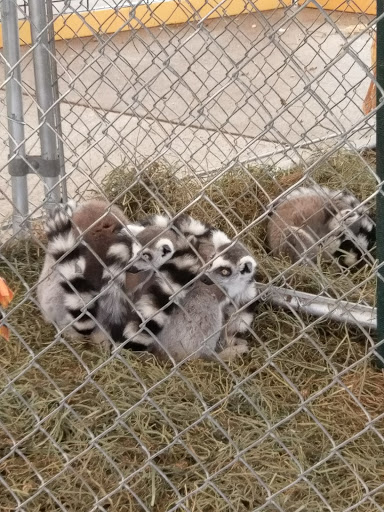 Amusement Park «Valleyfair», reviews and photos, 1 Valley Fair Dr, Shakopee, MN 55379, USA