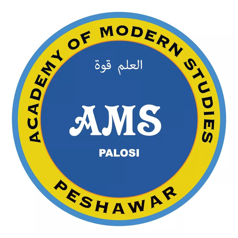 A.M.S School Palosi