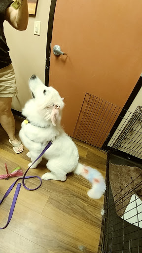 Pet Store «Pet Valu», reviews and photos, 2645 Shillington Rd, Sinking Spring, PA 19608, USA