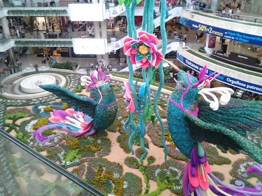 Barber Shop «Cali Barber Shop and Art», reviews and photos, 155 Mission St, Santa Cruz, CA 95060, USA