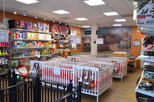 Pet Store «Charm City Puppies», reviews and photos, 8205 Snowden River Pkwy, Columbia, MD 21045, USA