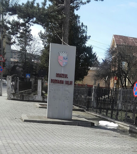 Comentarii opinii despre Muzeul Romanațiului