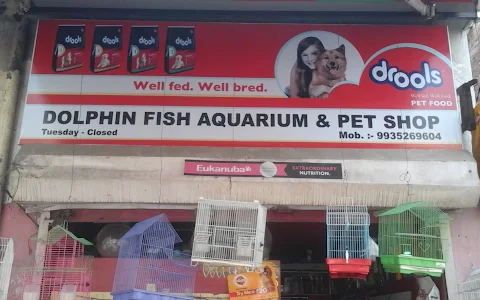 Dolphin Fish Aquarium And Pet Shop image