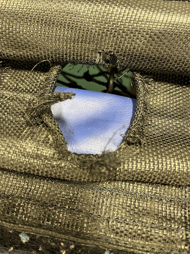 Amusement Center «Sky Zone Trampoline Park», reviews and photos, 14181 S Tamiami Trail #140, Fort Myers, FL 33912, USA