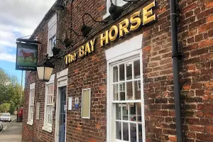 Bay Horse image