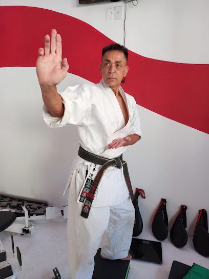 Templo das Artes Marciais Kenshin Vila Pirituba São Paulo SP