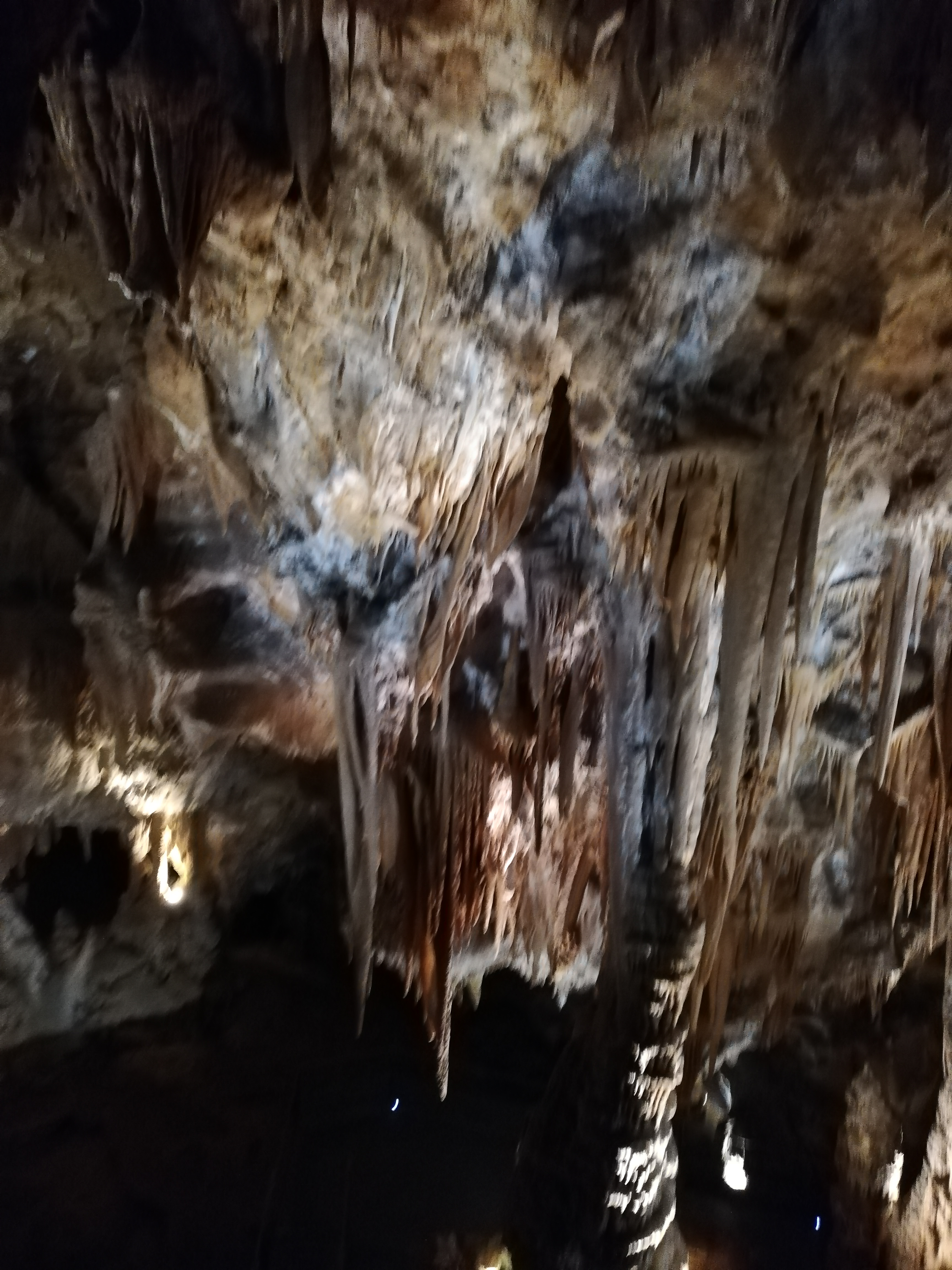 Photo n° 11 de l'avis de Andrea.A fait le 27/08/2019 à 18:33