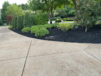 Alex Tree Service & Landscaping