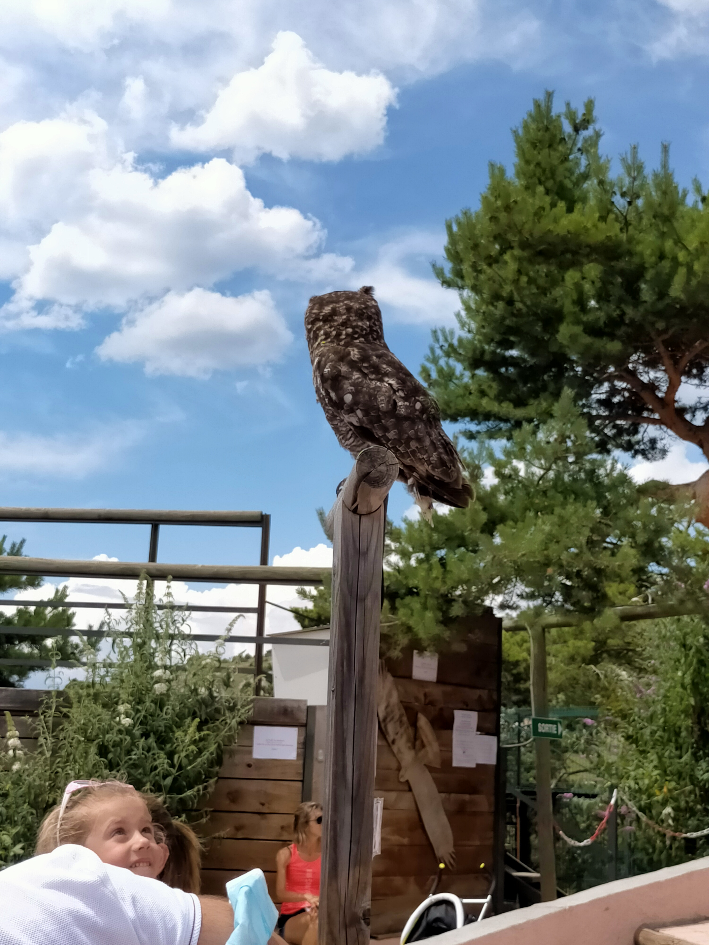 Photo n° 4 de l'avis de Dominique.R fait le 01/08/2021 à 11:27