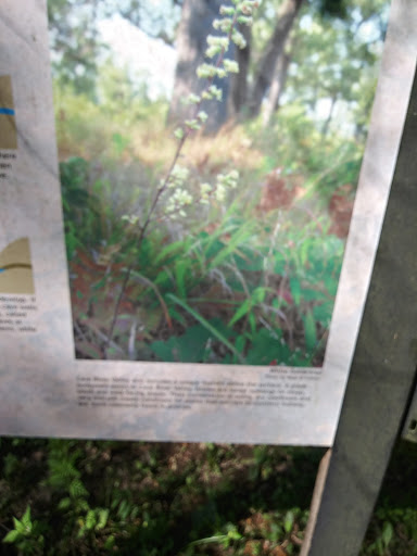 Park «Cave River Valley Park», reviews and photos, 6031-6871 N Cave River Valley Rd, Campbellsburg, IN 47108, USA