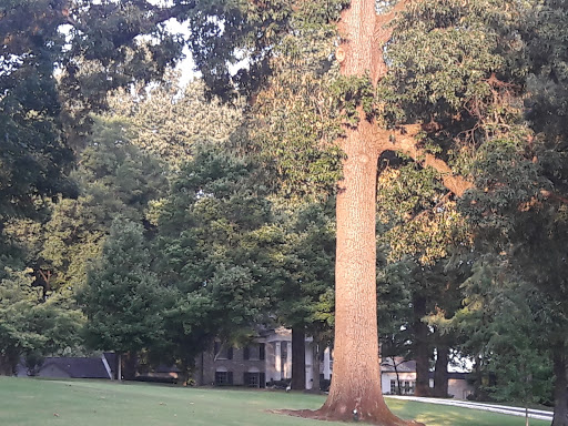 Museum «Graceland», reviews and photos, Elvis Presley Blvd, Memphis, TN 38116, USA