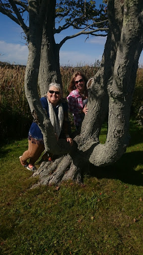 Nature Preserve «Johnson Field Preserve at Mackerel Cove», reviews and photos, 25 Abner Point Rd, Bailey Island, ME 04003, USA