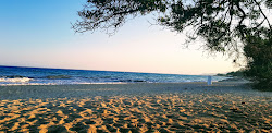 Photo de Platja el paradis avec baie spacieuse