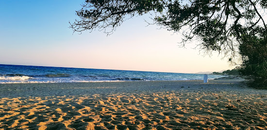 Platja el paradis