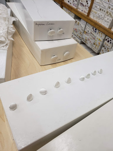 Fabric Store «G Street Fabrics», reviews and photos, 12220 Wilkins Ave, Rockville, MD 20852, USA