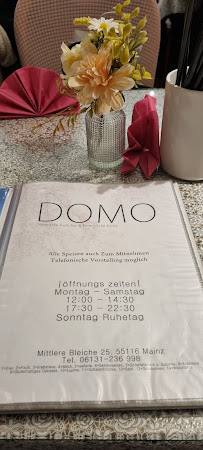 Menu du Domo (どうも/도모)-Mainz à Mainz