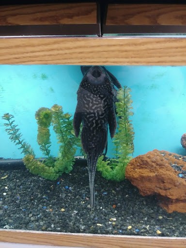 Pet Supply Store «Pet Valu», reviews and photos, 541 S Breiel Blvd, Middletown, OH 45044, USA