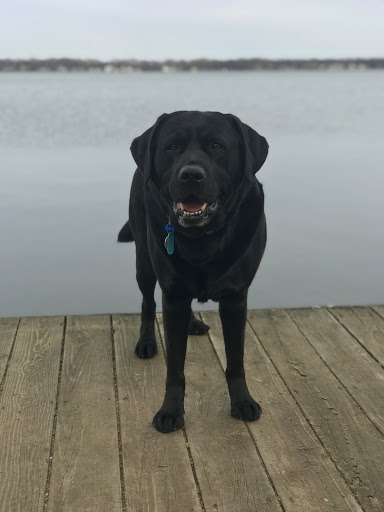 Park «Lakeview Park», reviews and photos, 9345 Portage Rd, Portage, MI 49002, USA