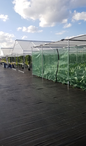 Gift Shop «Sunsational Citrus», reviews and photos, 700 N Central Ave, Umatilla, FL 32784, USA