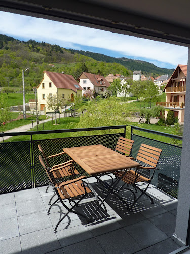 Agence de location de maisons de vacances Gites Chez Schangala Thannenkirch
