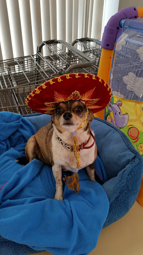 Thrift Store «JCOC Community Thrift», reviews and photos, 120 S Plaza Trail, Virginia Beach, VA 23452, USA