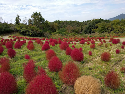 讃岐まんのう公園 北口料金所