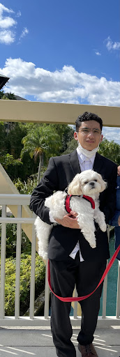 Pet Store «DipidyDawg Gourmet Dog Bakery & Boutique», reviews and photos, 21301 S Tamiami Trail Suite 430, Estero, FL 33928, USA