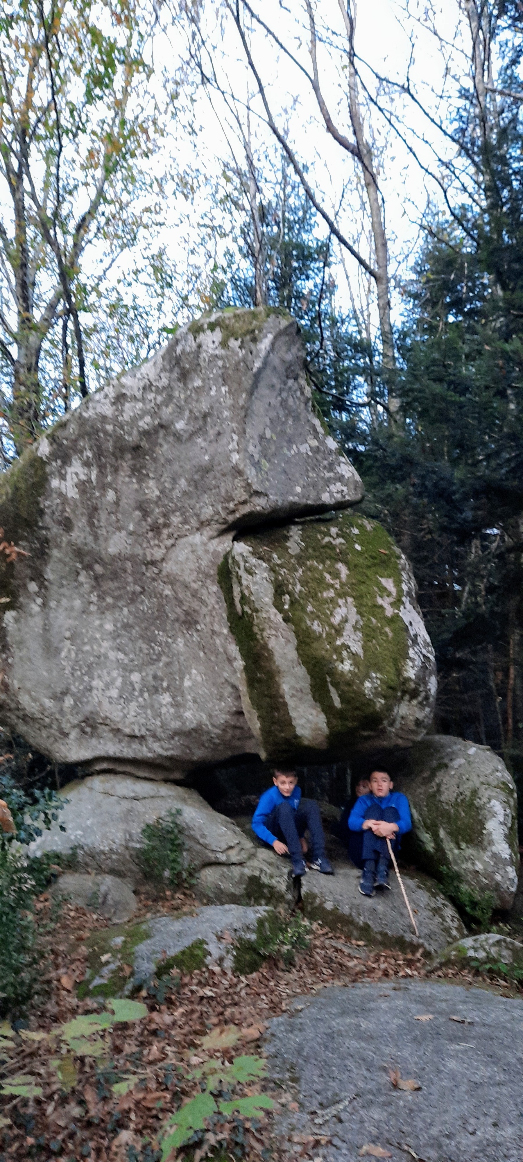 Photo n° 16 de l'avis de Laurence.a fait le 25/10/2020 à 15:55