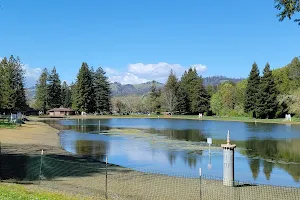 Spring Lake Lagoon image