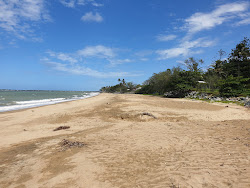 Zdjęcie Blacks Beach z poziomem czystości wysoki
